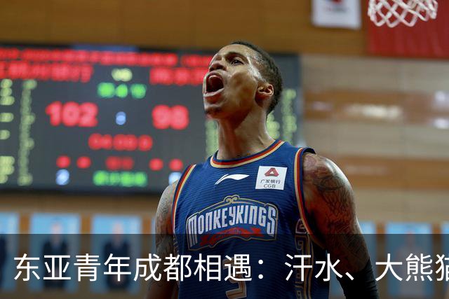 东亚青年成都相遇：汗水、大熊猫与友谊